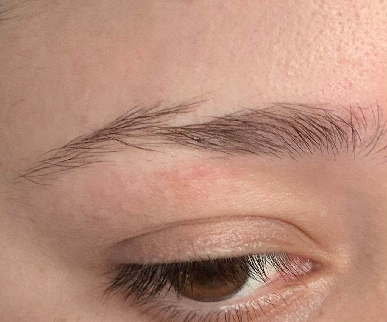 Eyebrow Tattoo result by Luxury Brow Art in Duluth, GA