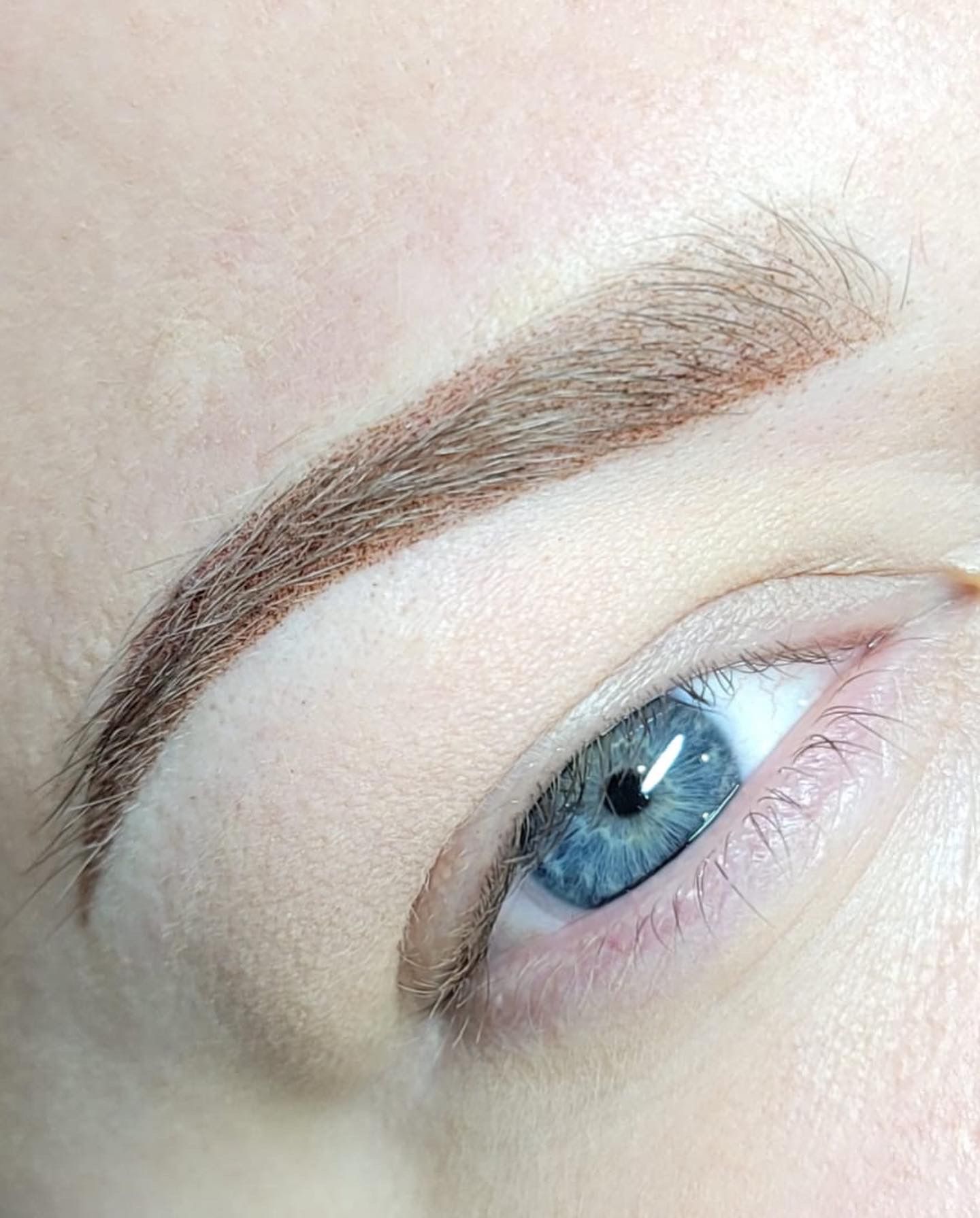 Eyebrow Tattoo result by Permanent Makeup Training | Evellin Lima in Marietta, GA