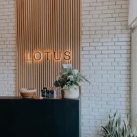 Lotus Skin + Brow — permanent makeup work