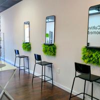 The Well Brow — permanent makeup work