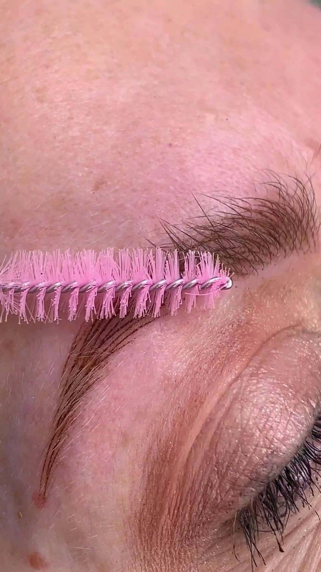 Permanent makeup work by GREAT BROWS in Lakeland, FL