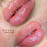 Fine and Feral Cosmetic Studio — permanent makeup work