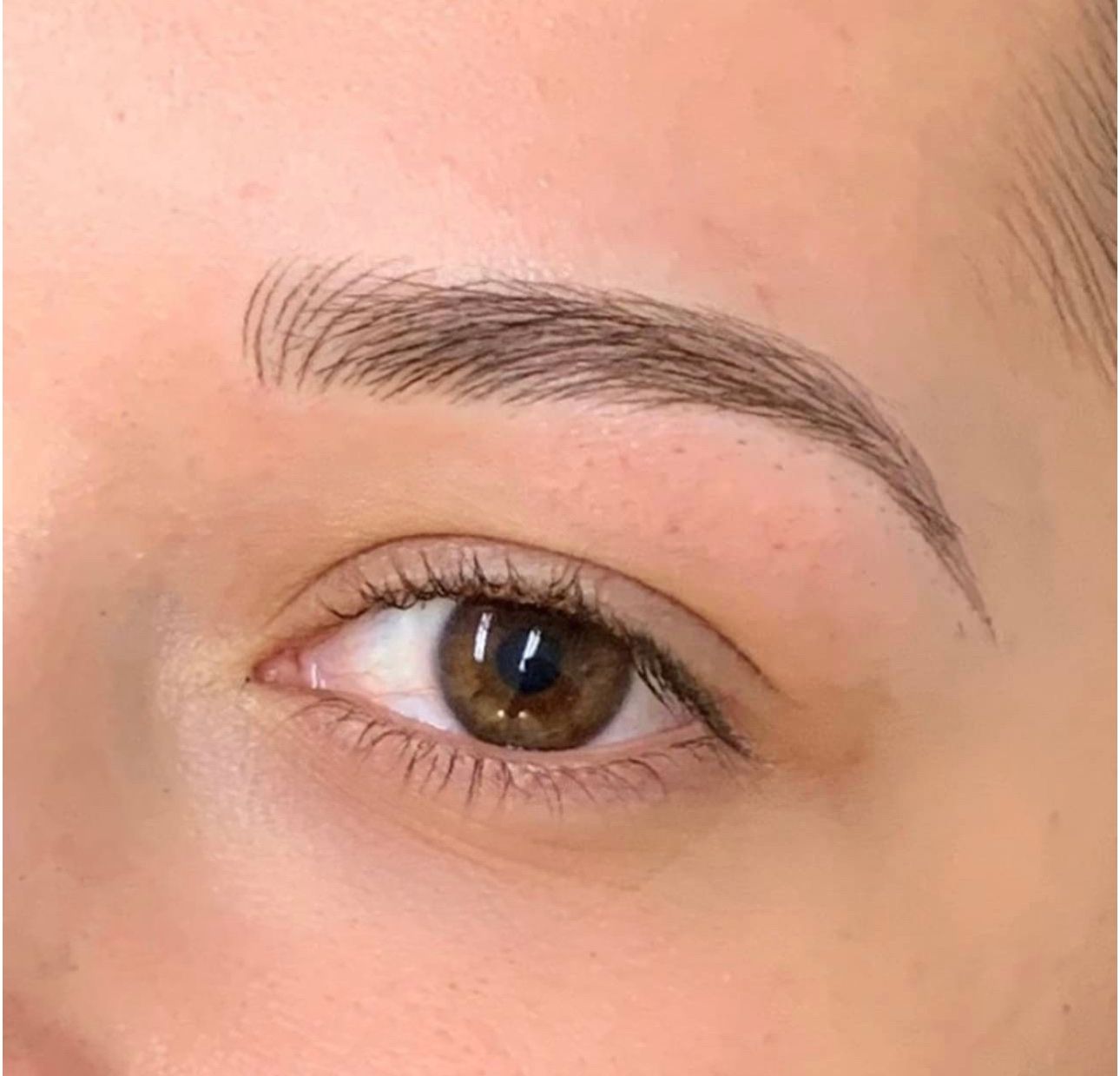 Permanent makeup work by LUXX Beauty & Brow in Jacksonville, FL