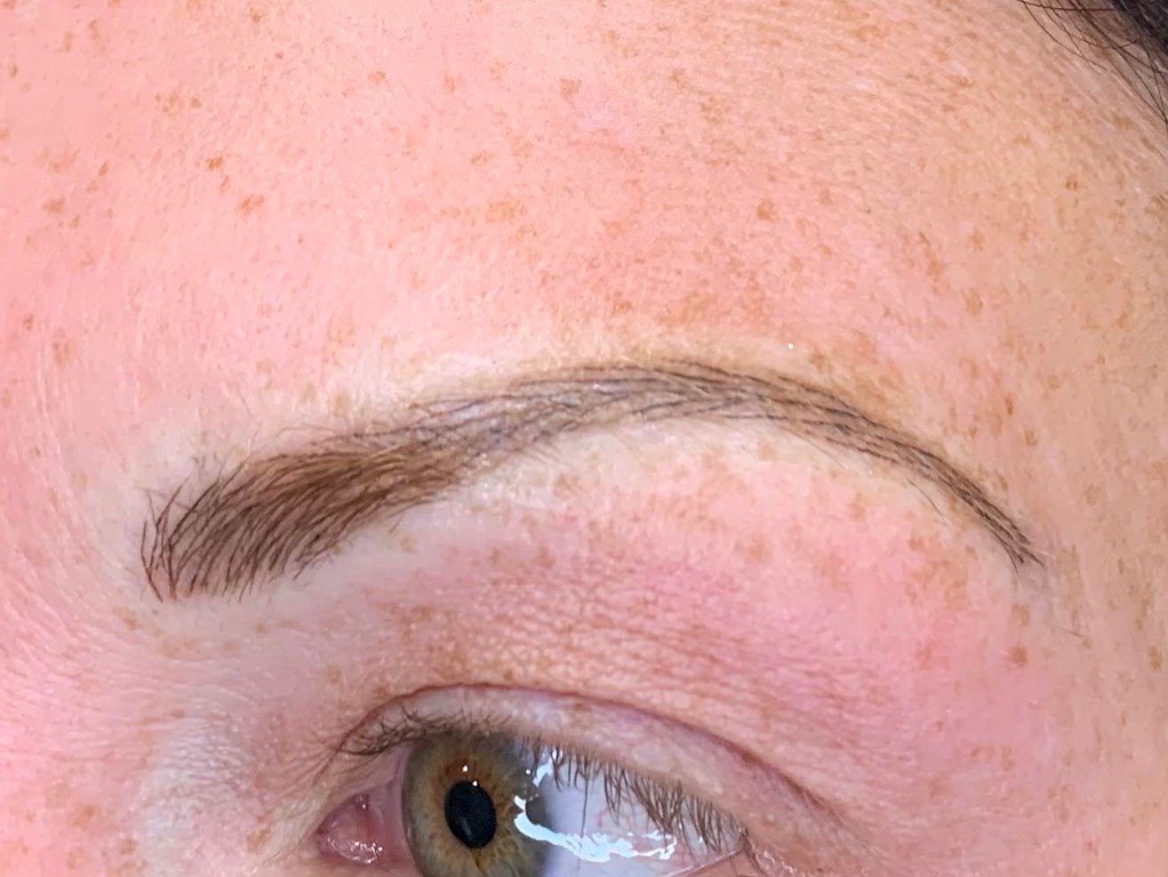 Eyebrow Tattoo result by Permanent Cosmetics by Wendy in Columbus, GA