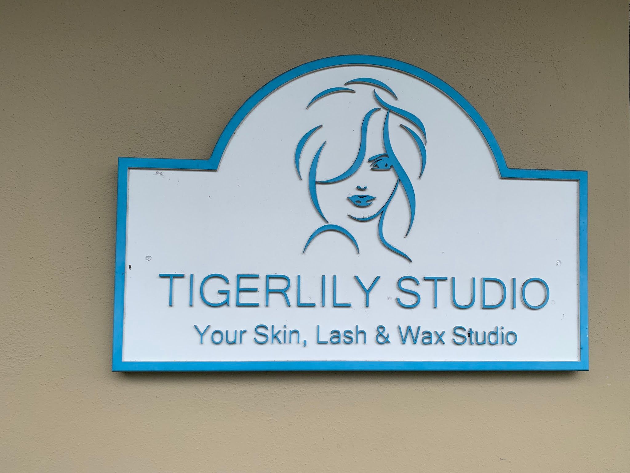 Permanent makeup work by TigerLily Studio in Athens, GA