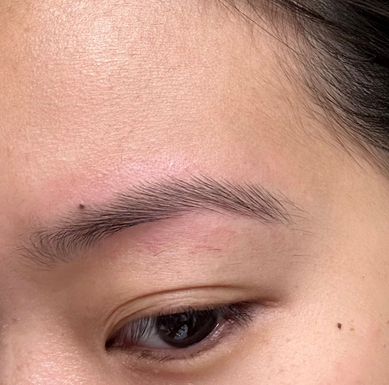 Eyebrow Tattoo result by BrowLash Salon & Spa (@ Lenox Square Mall) in Atlanta, GA