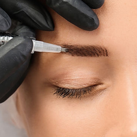 Envy PMU & Body — permanent makeup work