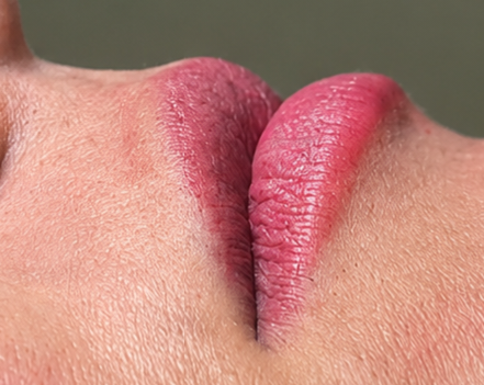 Permanent makeup work by TrinityRose Ink Boutique in Milledgeville, GA