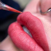 Shabnambrowsllc — permanent makeup work