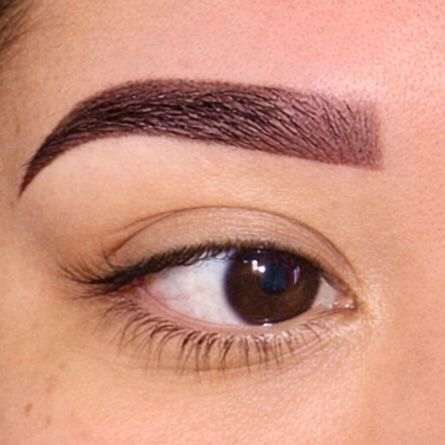 Eyebrow Tattoo result by Marbella Servicios de Cejas in Hampton, GA