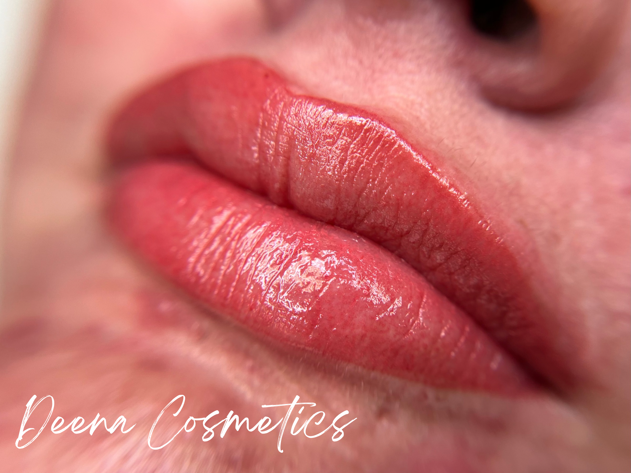 Permanent makeup work by Deena Cosmetics Sylva Studio in Sylva, NC
