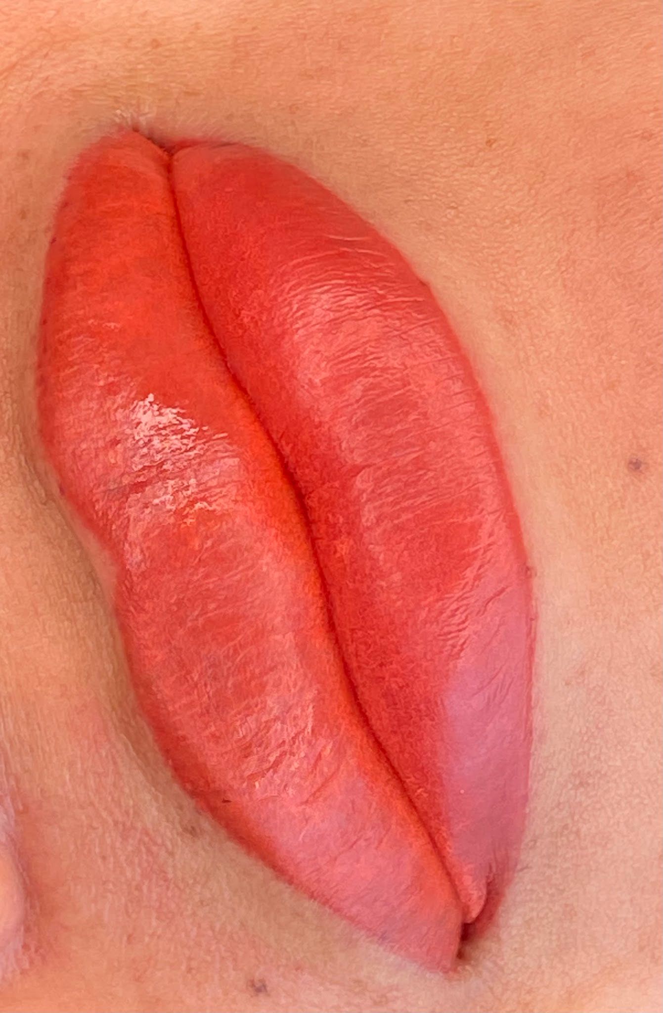 Permanent makeup work by Microblade & Shade by Blanca Aguirre in Dalton, GA
