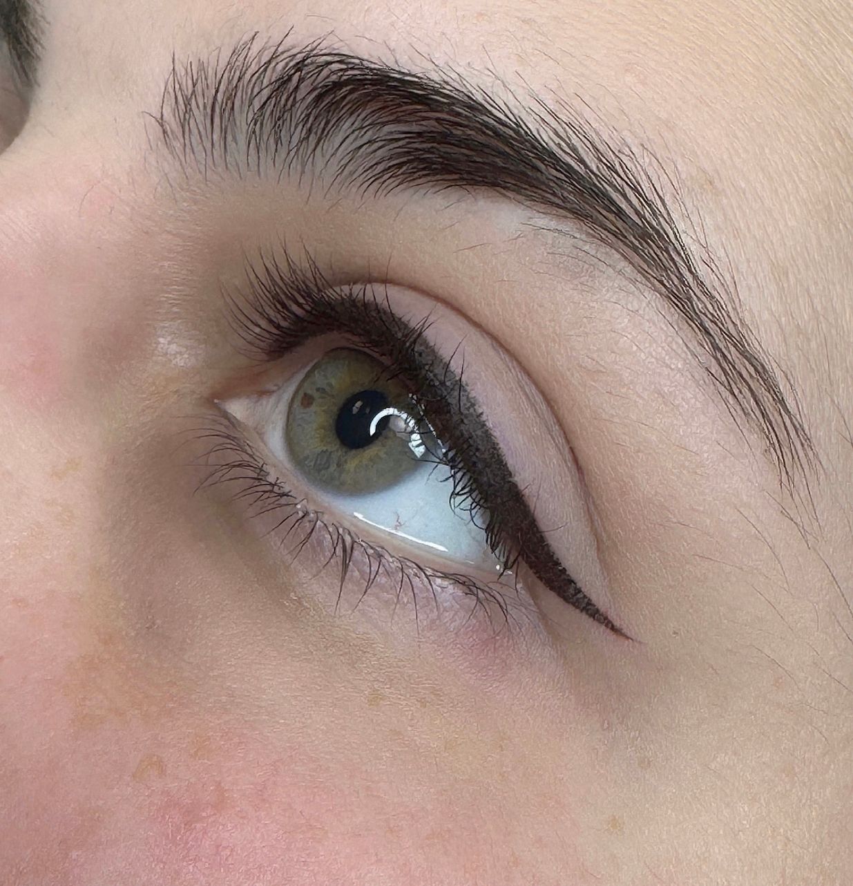Eyeliner Tattoo result by Permanent makeup by Natalia Chabrova (eyebrows, lips, eyeliners ) in Hiram, GA