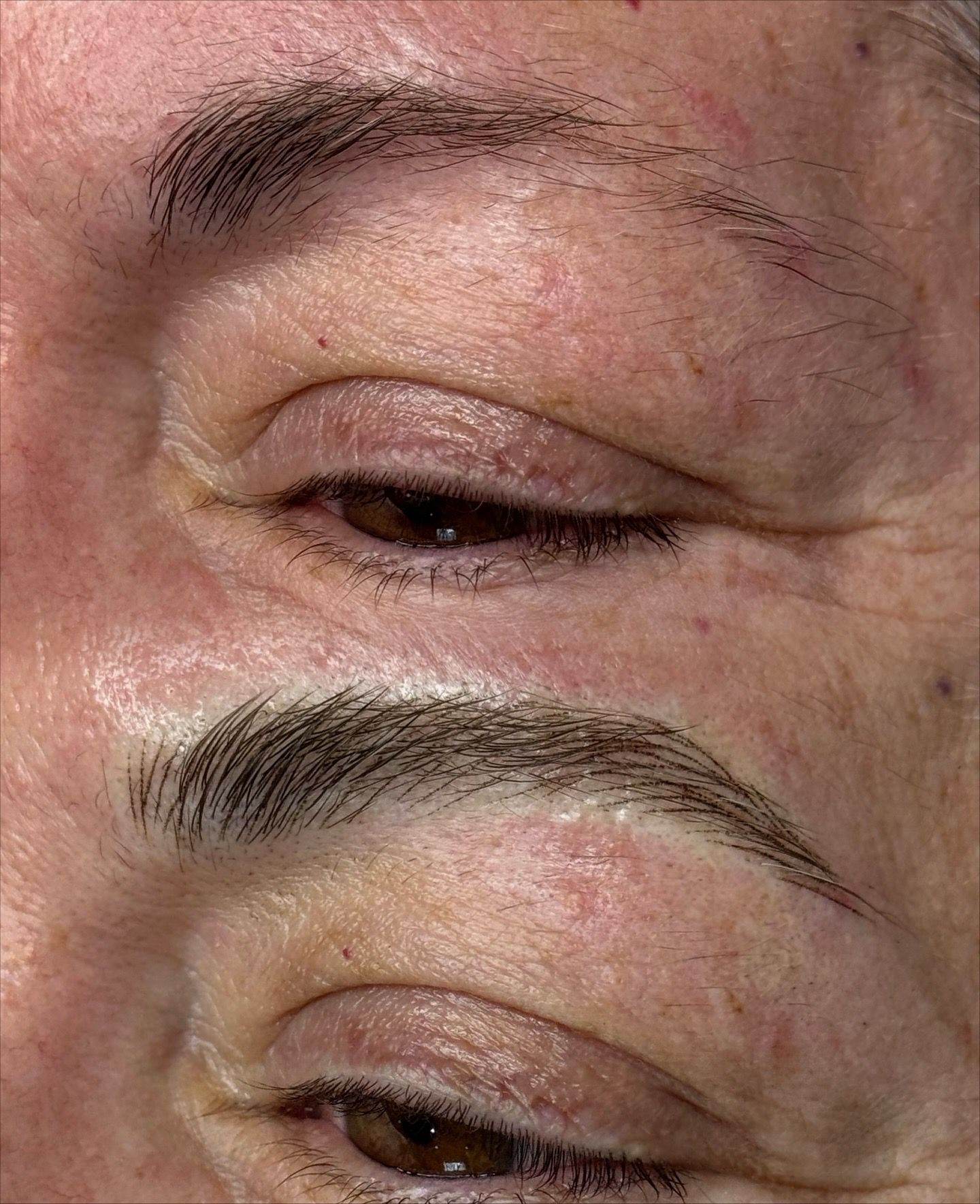 The Brow Haus Jax - Permanent Makeup Studio and Education — permanent makeup in Jacksonville, FL