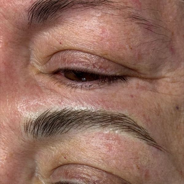 The Brow Haus Jax - Permanent Makeup Studio and Education — permanent makeup in Jacksonville, FL