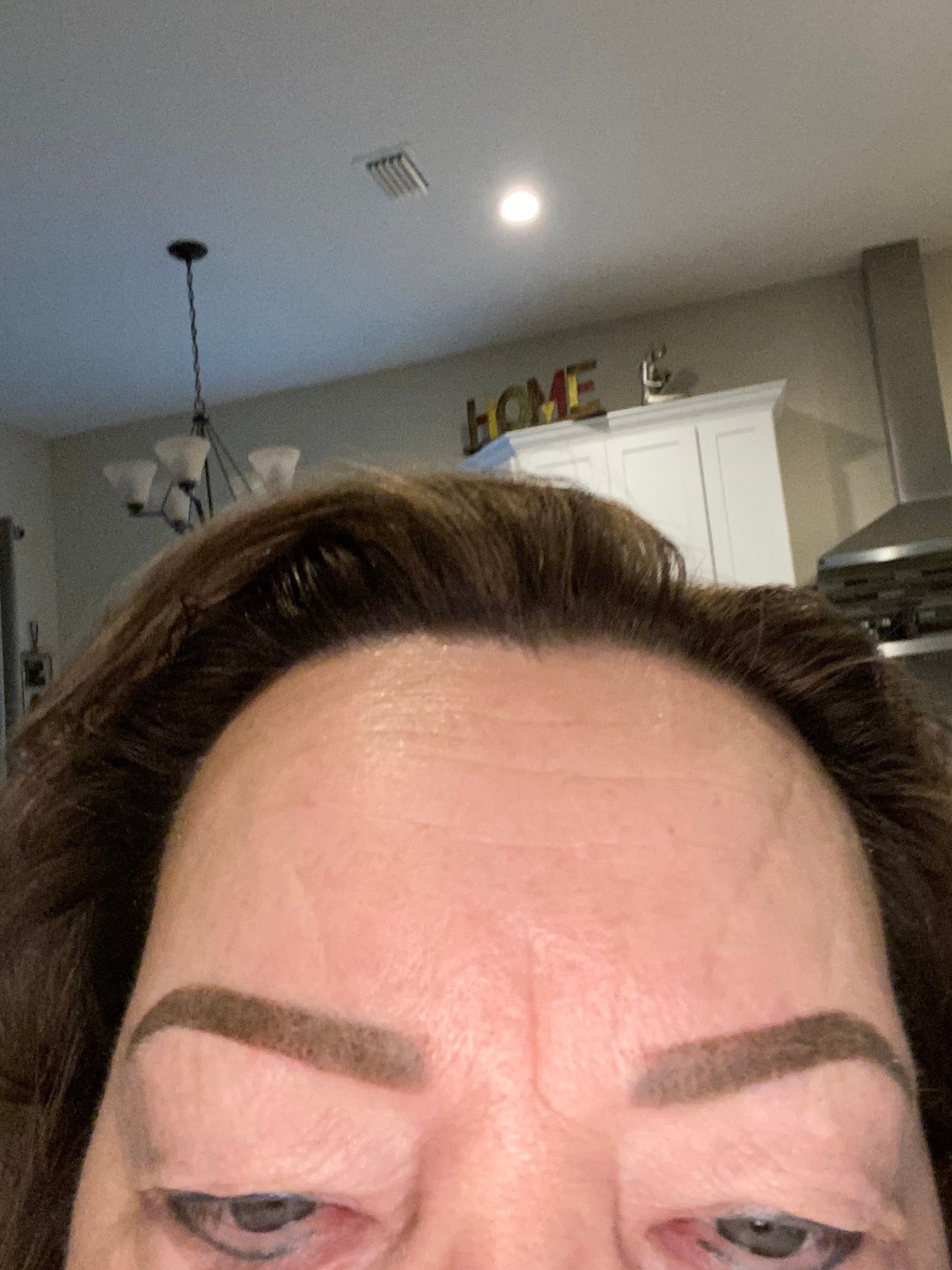 Eyebrow Tattoo result by The Brow Haus Jax - Permanent Makeup Studio and Education in Jacksonville, FL
