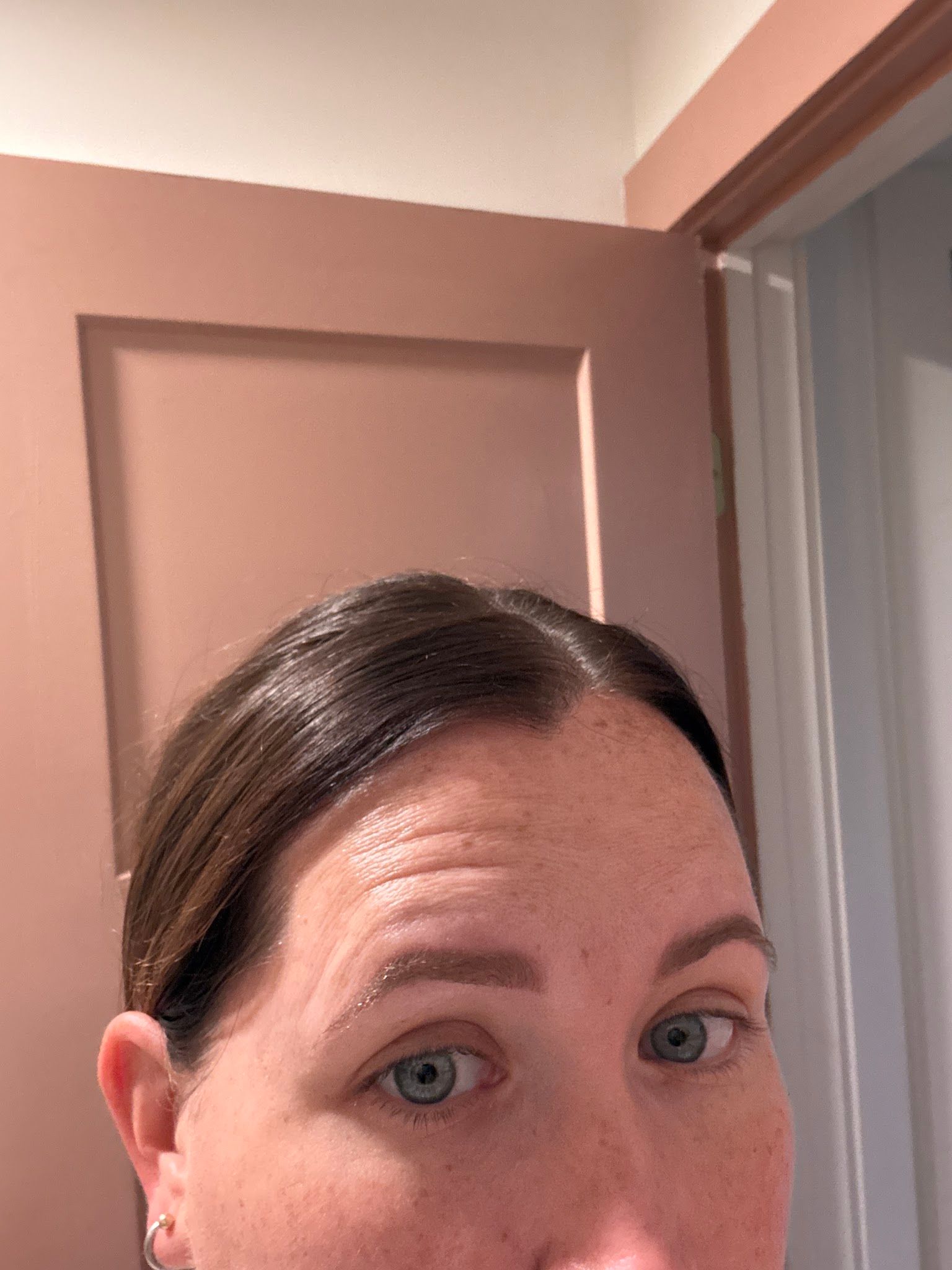 Eyebrow Tattoo result by Kendra Neal Studio in Brighton, MI
