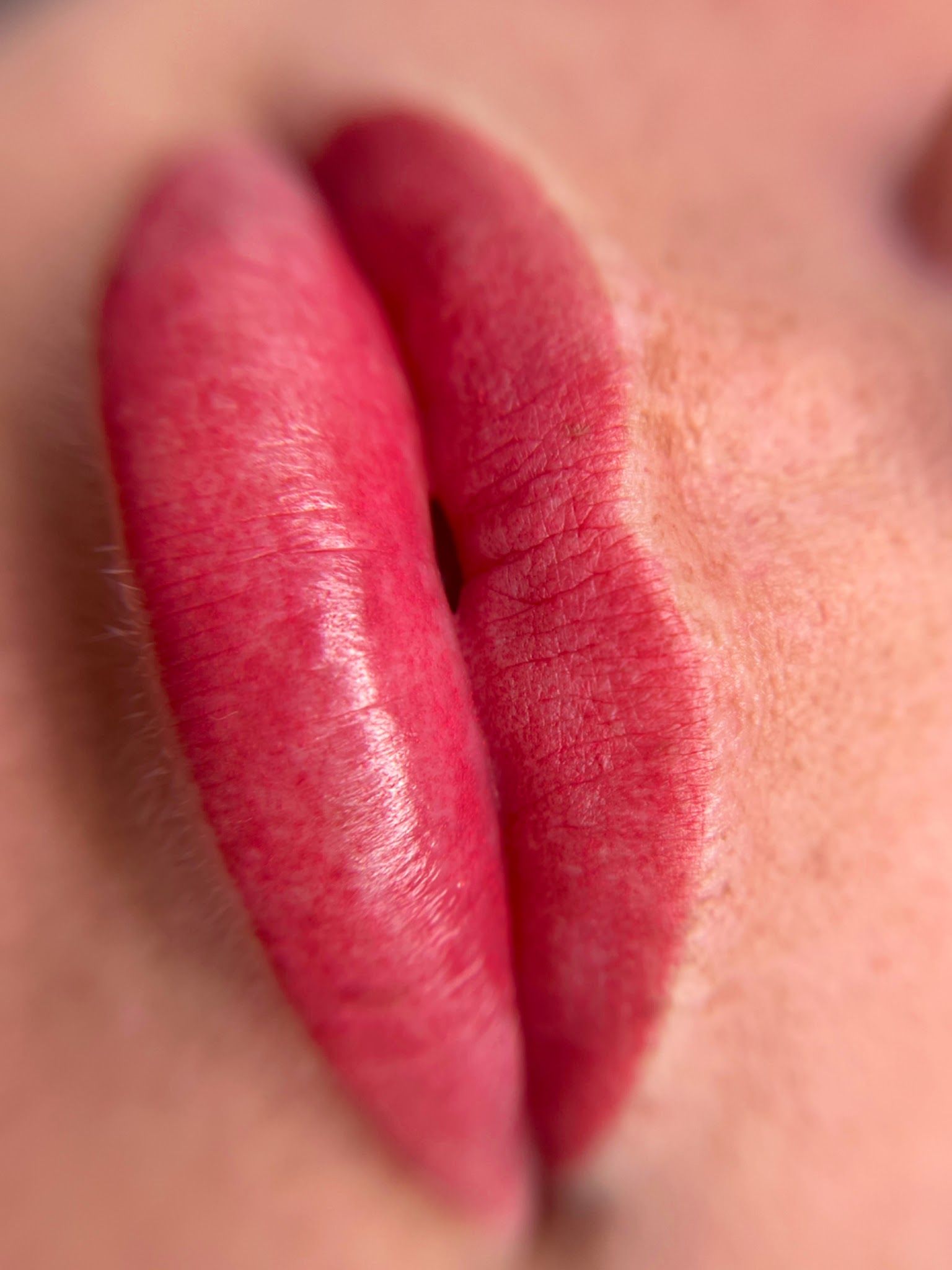 Permanent makeup work by Renlysa Artistry Microblading in North Chelmsford, MA