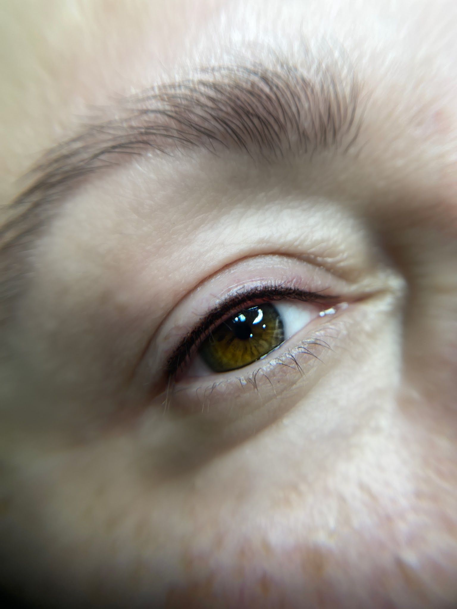 Eyeliner Tattoo result by Kontour Aesthetics Studio in Alpharetta, GA