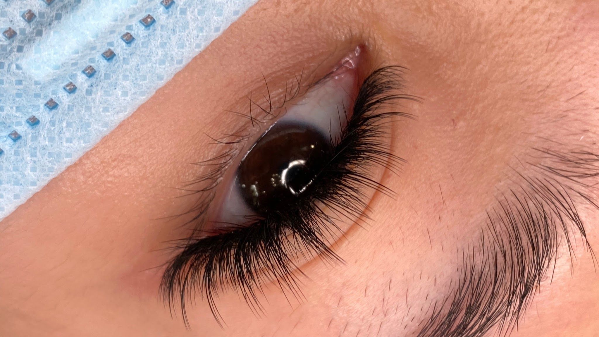 Blink Lavish Lash & Brow Studio — permanent makeup work