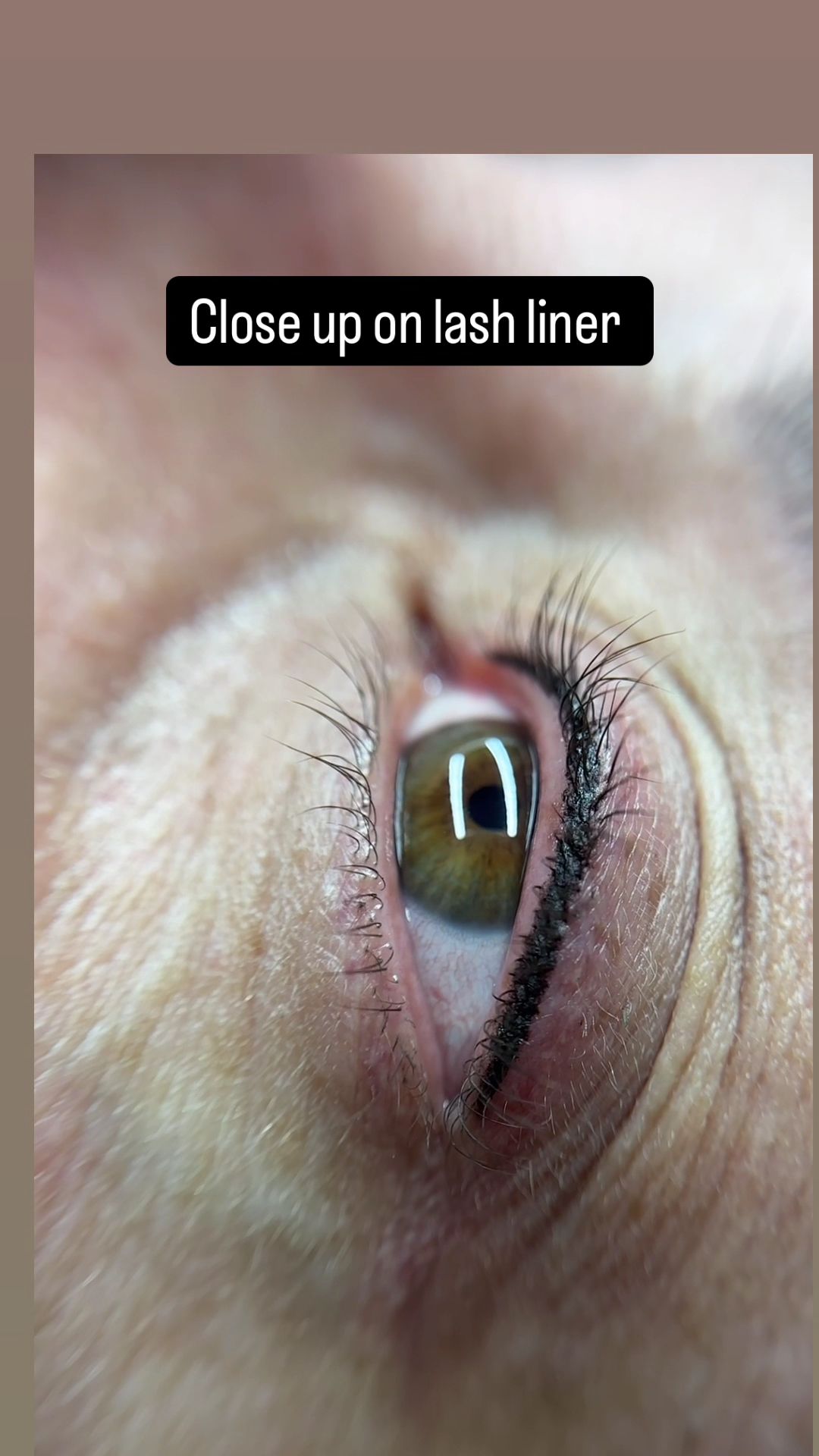 Permanent makeup work by Permanent Makeup By Hotaru in Louisville, KY