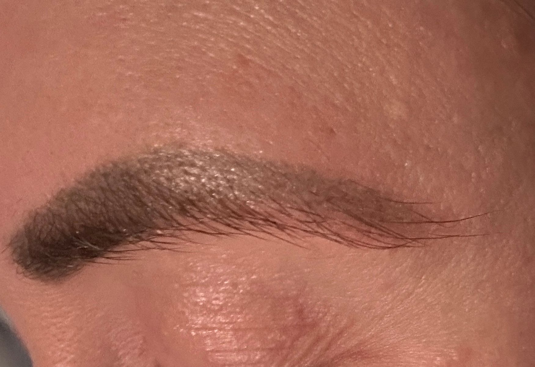 Eyebrow Tattoo result by Brows by Milly in Duluth, GA